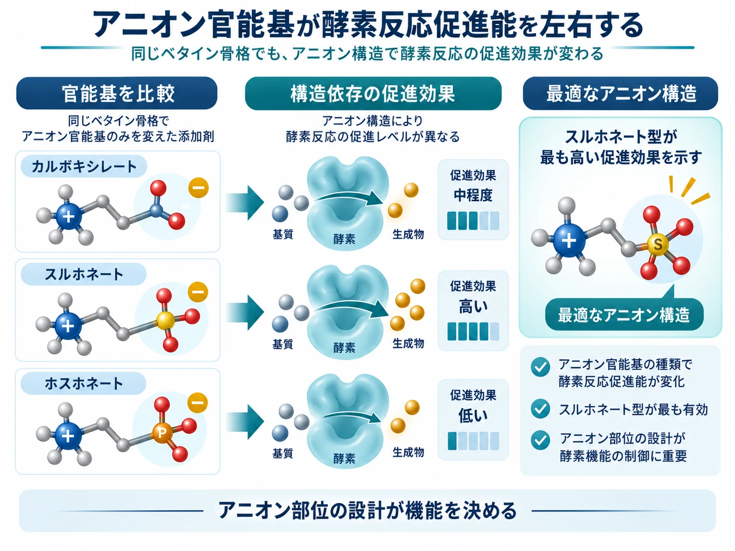 ベタイン型代謝物アナログのアニオン性官能基と酵素反応促進能の関係を示す模式図