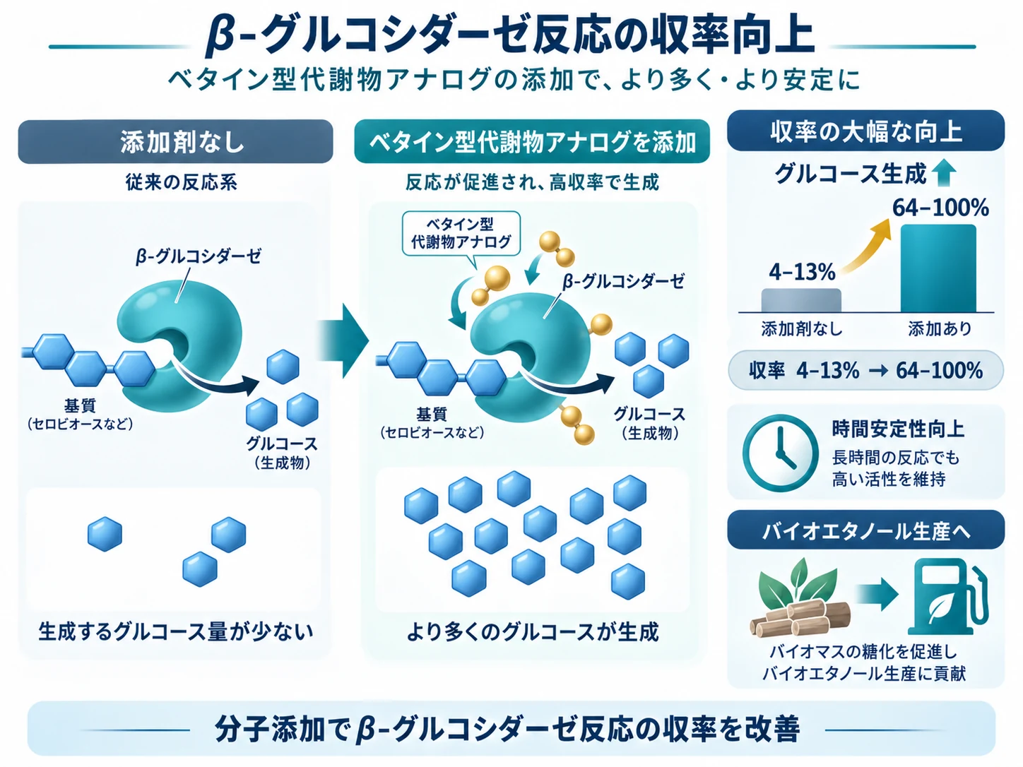 ベタイン型代謝物アナログによるβ-グルコシダーゼ加水分解収率向上を示す模式図