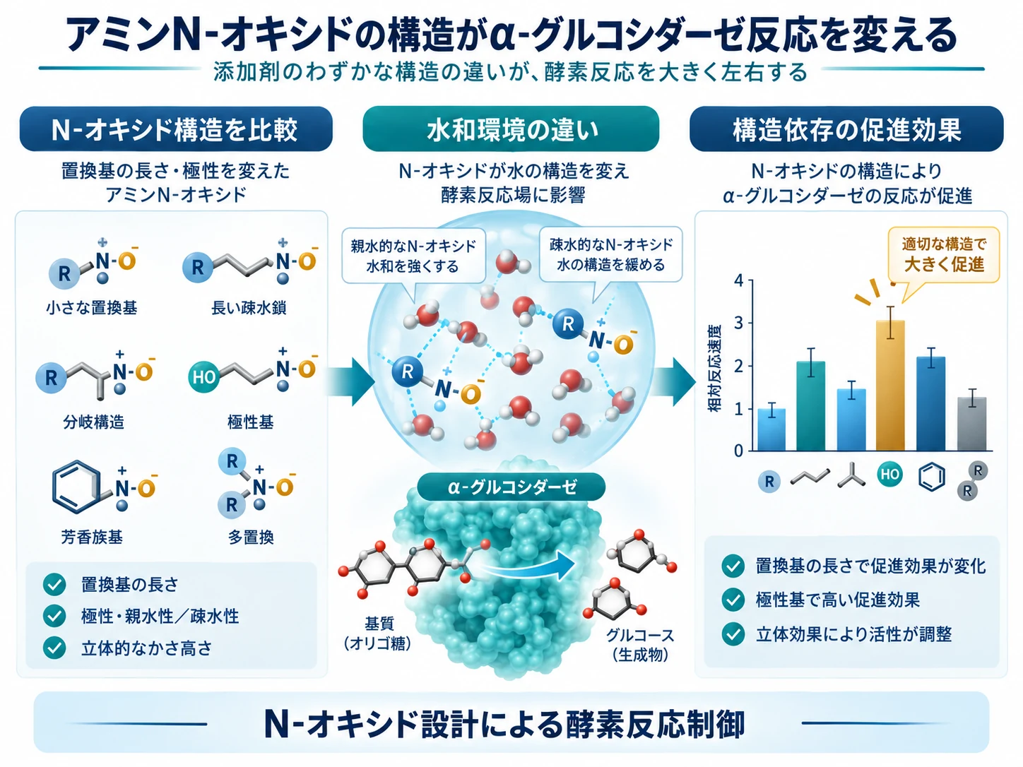 アミンN-オキシドの構造とα-グルコシダーゼ反応促進能の関係を示す模式図
