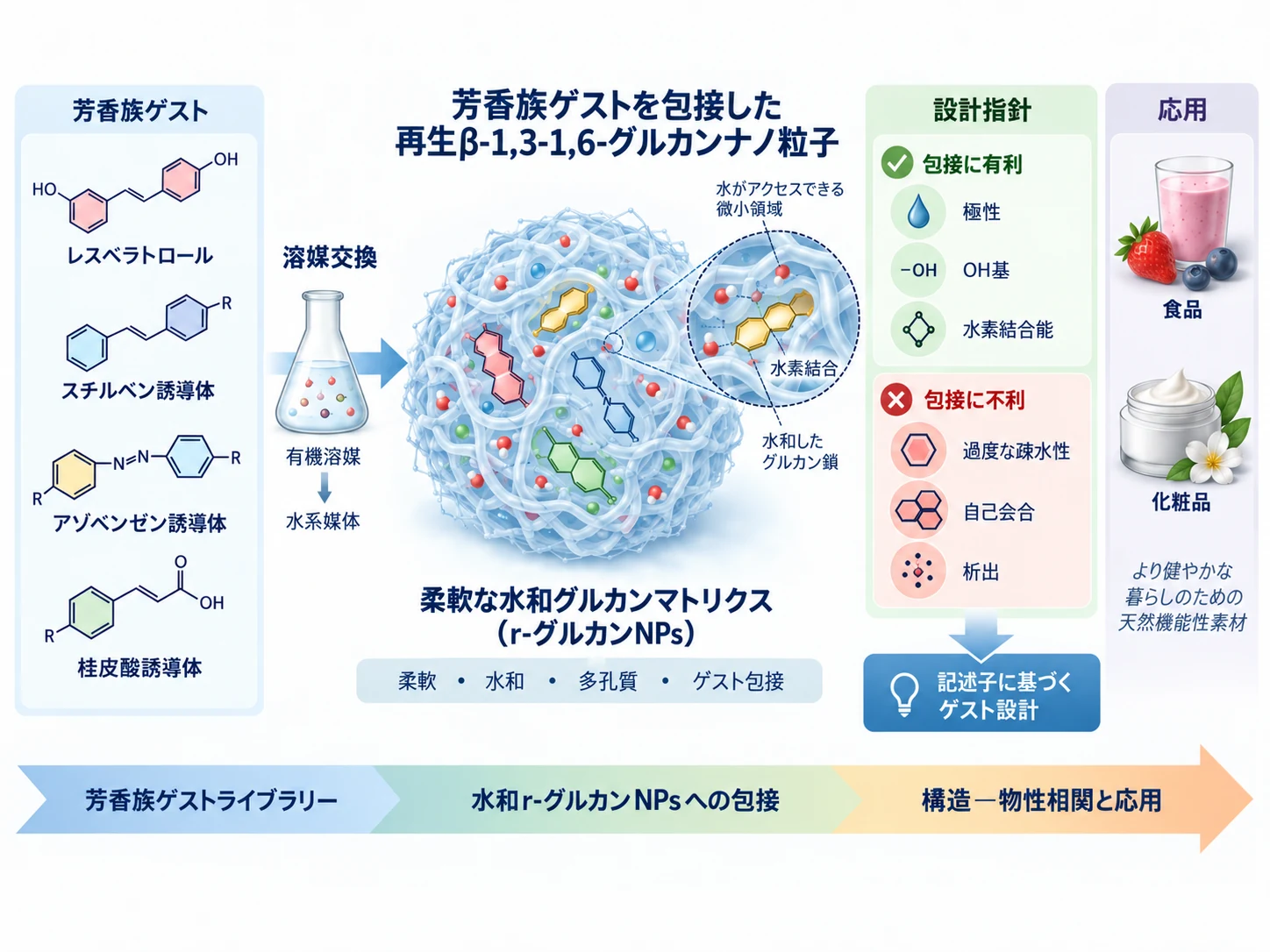 柔軟で水和したβ-1,3-1,6-グルカンナノ粒子への芳香族ゲスト包接を示すオリジナル模式図