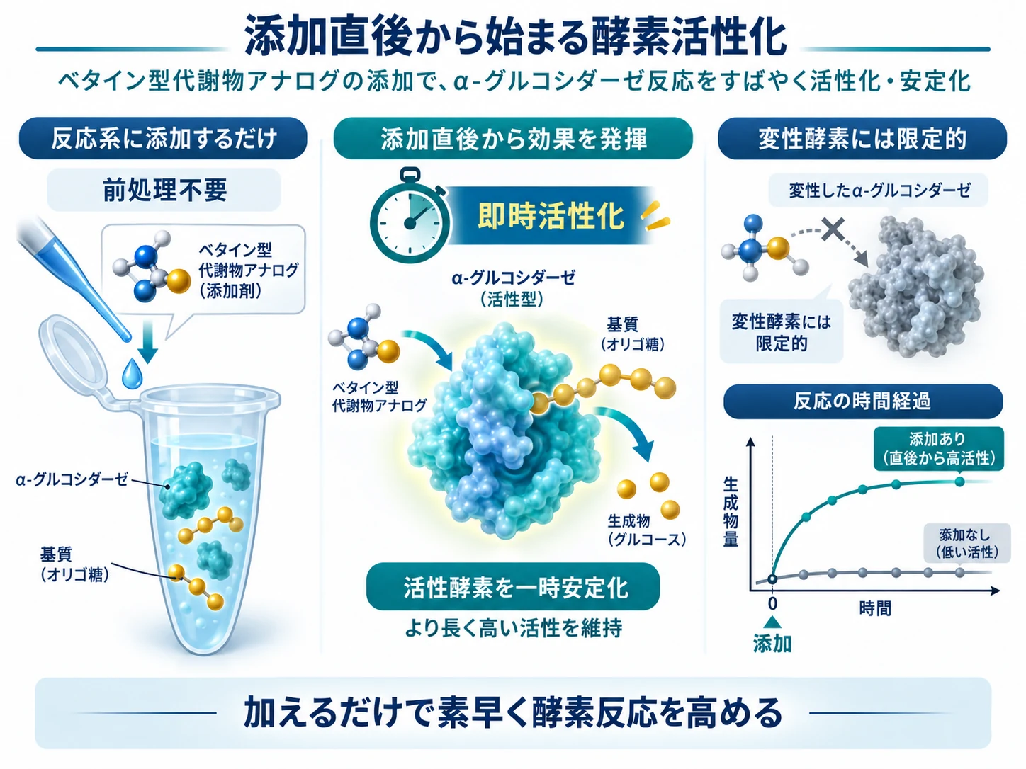 ベタイン型代謝物アナログを反応途中に添加した直後からα-グルコシダーゼが活性化されることを示す模式図