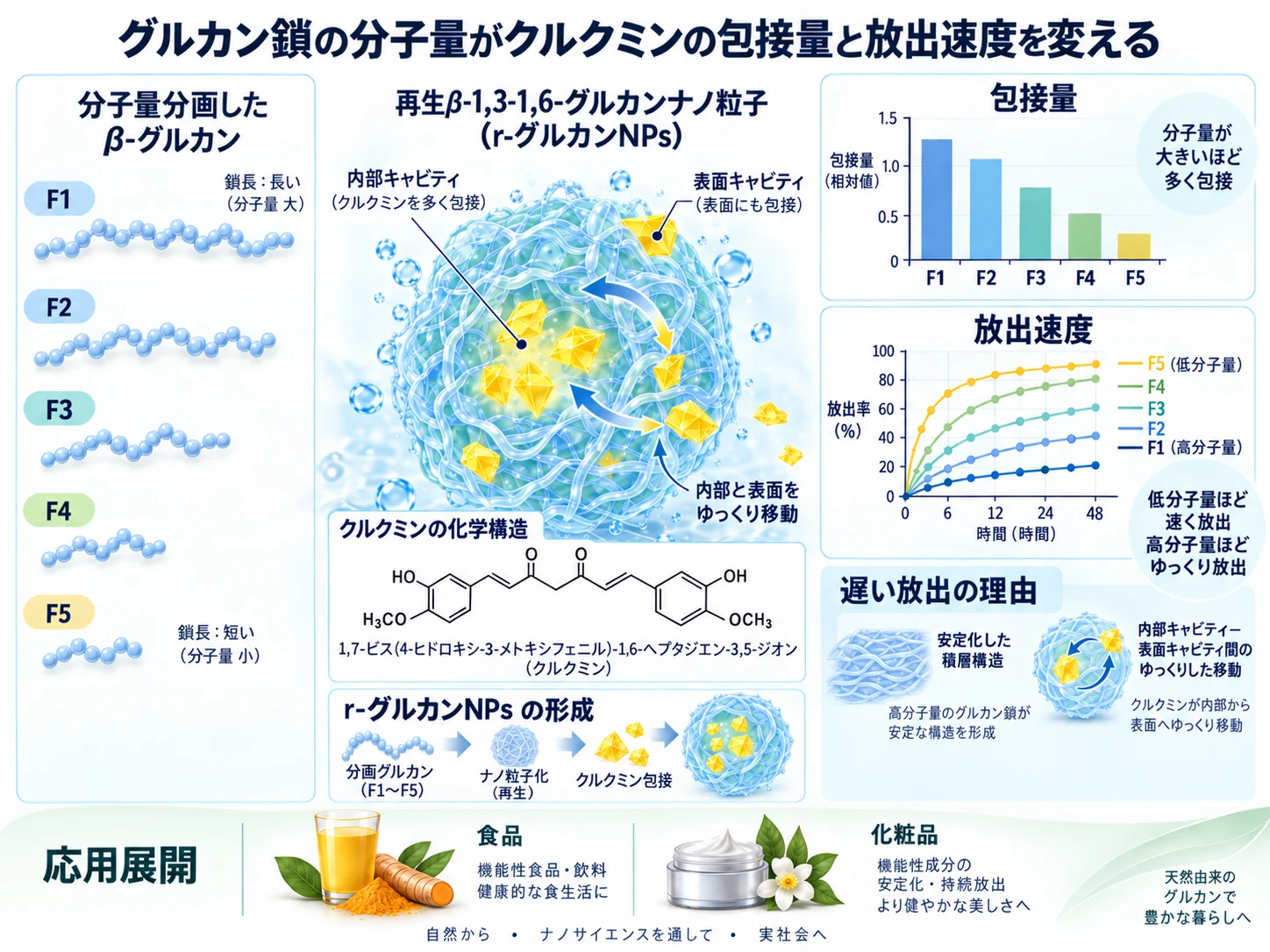 グルカン鎖の分子量がクルクミンの包接量と放出速度を変えることを示すオリジナル模式図